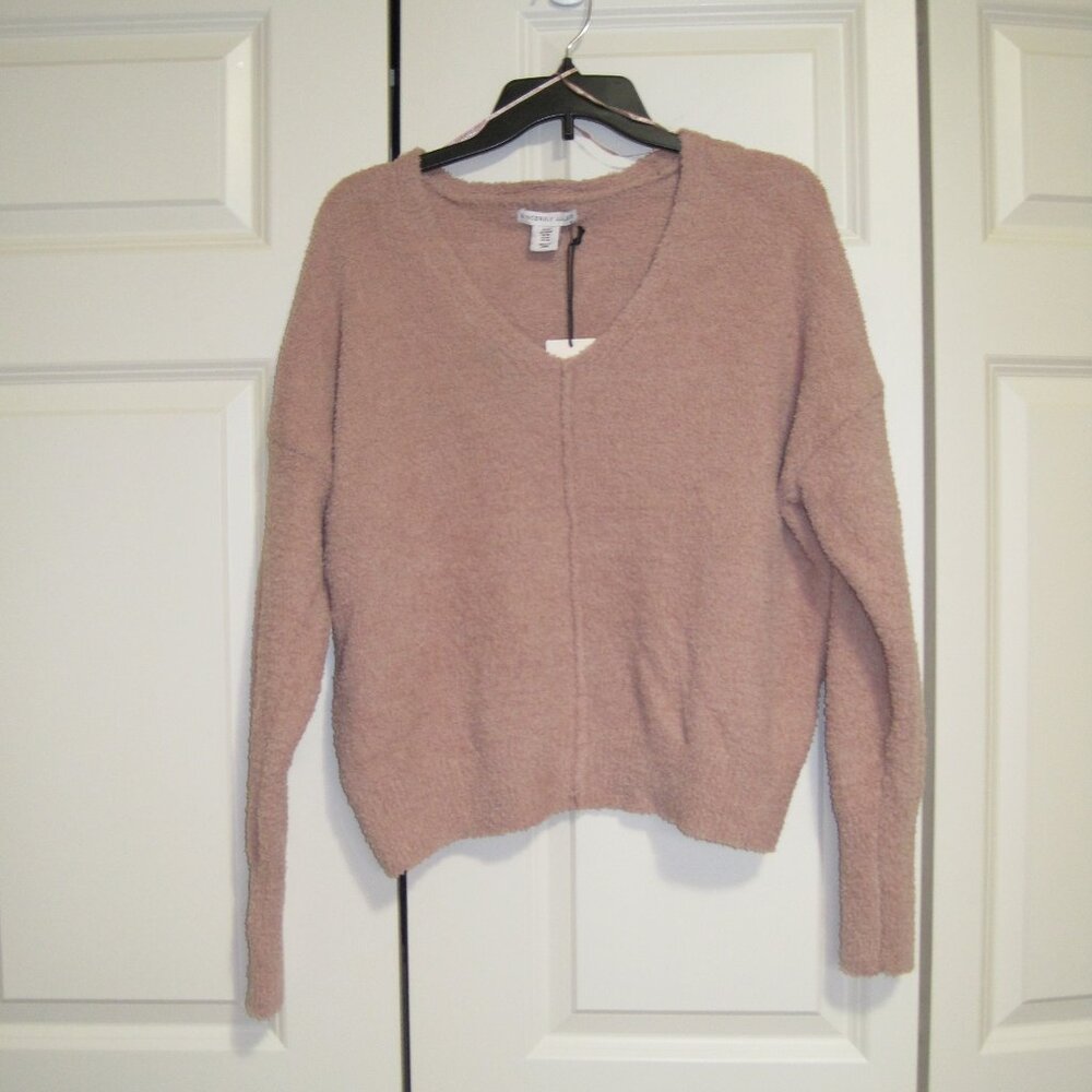 NWT Sincerely Jules V-Neck Sweater